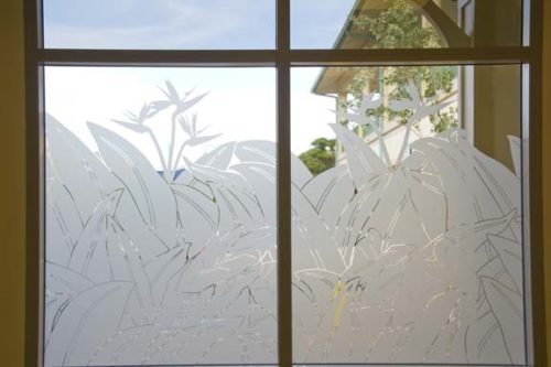 Bird of Paradise Window etch