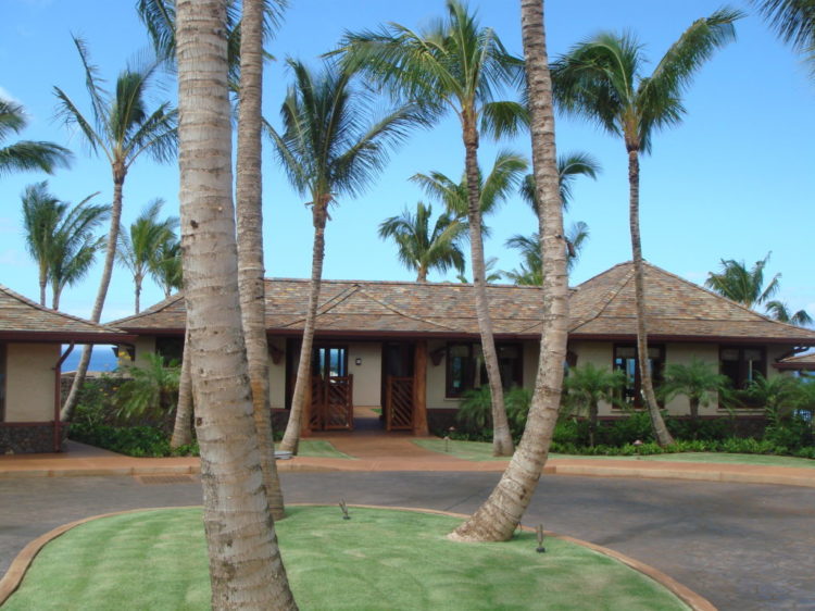 Lanikeha Driveway & Entry center palms